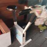 Rower stacjonarny , polecam.za darmo do wyregulowania