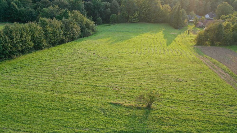 Działka rolna - Szymbark *bez posrednika*