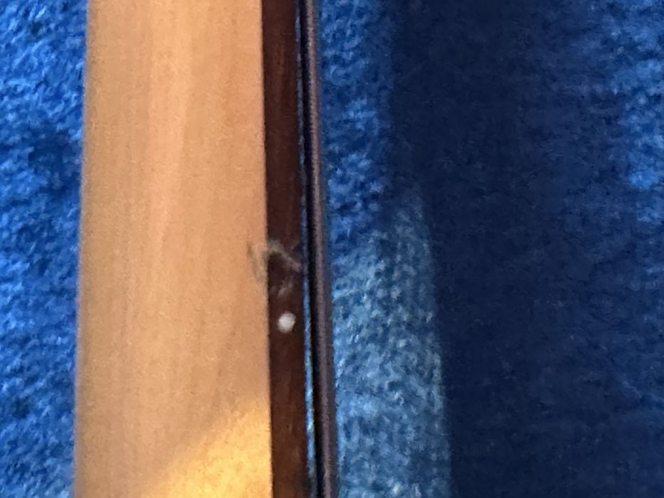 Yamaha TRB 5 Bass Japan