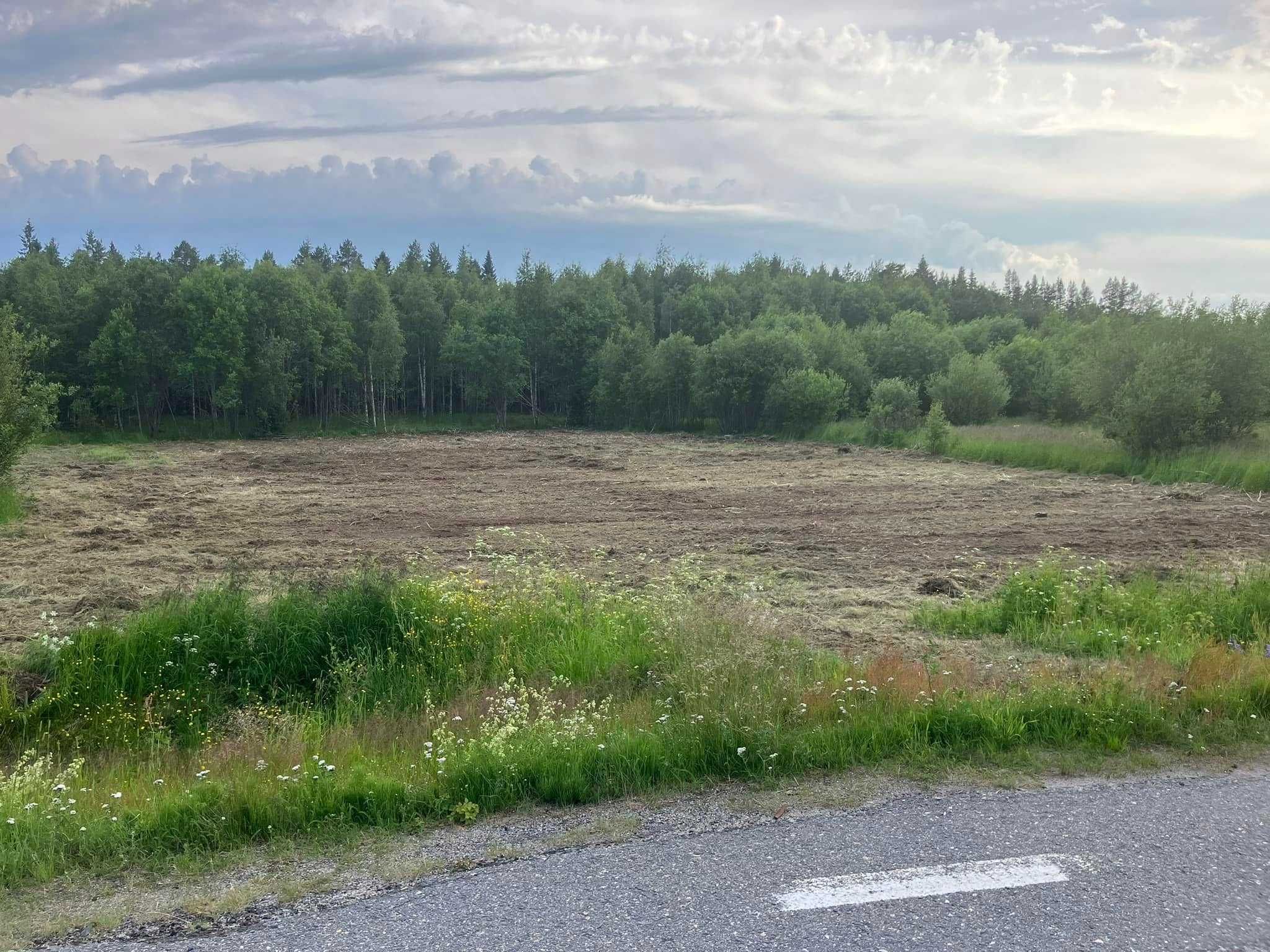 mulczer czyszczenie działek karczowanie samosiejek wycinka mulczowanie