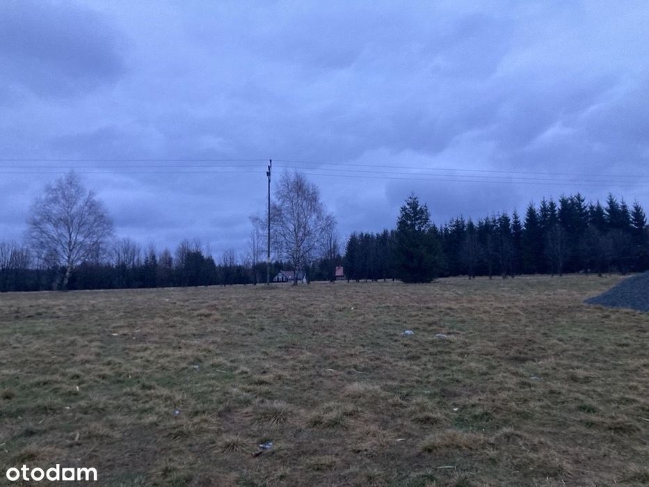 Działka Lasówka  koło  Zieleńca