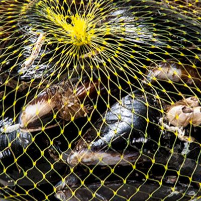 Rolo de Rede para embalar Caracóis ou Moluscos.