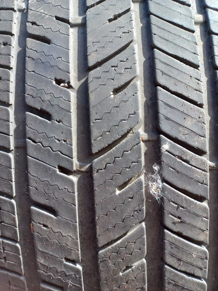 Bridgestone DriveGuard plus 255 55 18 Всесезон 2023 р.в.