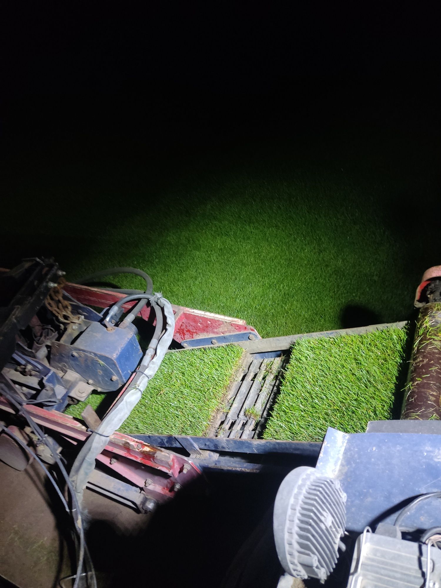 Trawa z rolki/Roll_Grass Producent Trawy