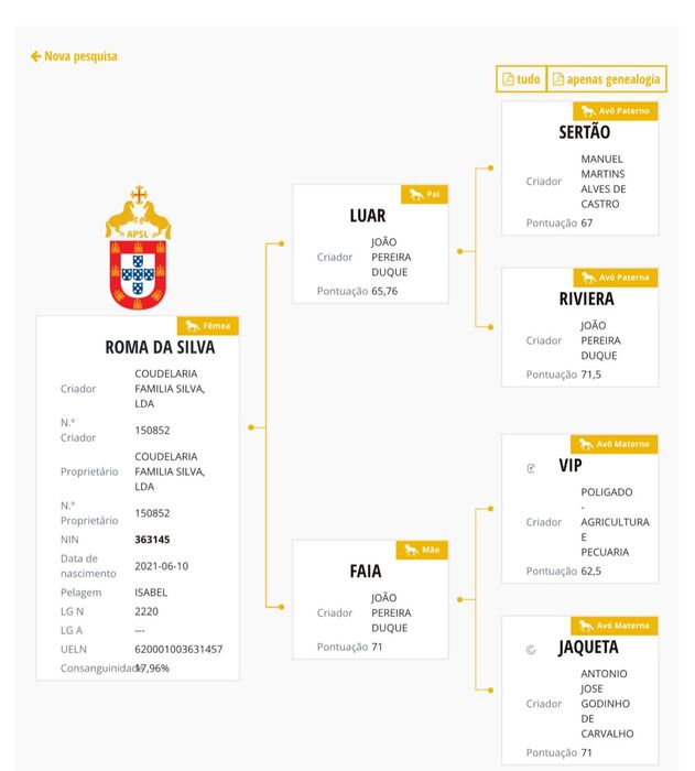 EGUA LUSITANA PELAGEM ISABEL