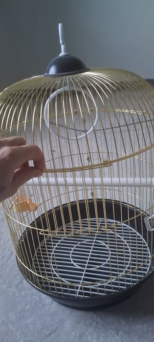 Клітка для папуги