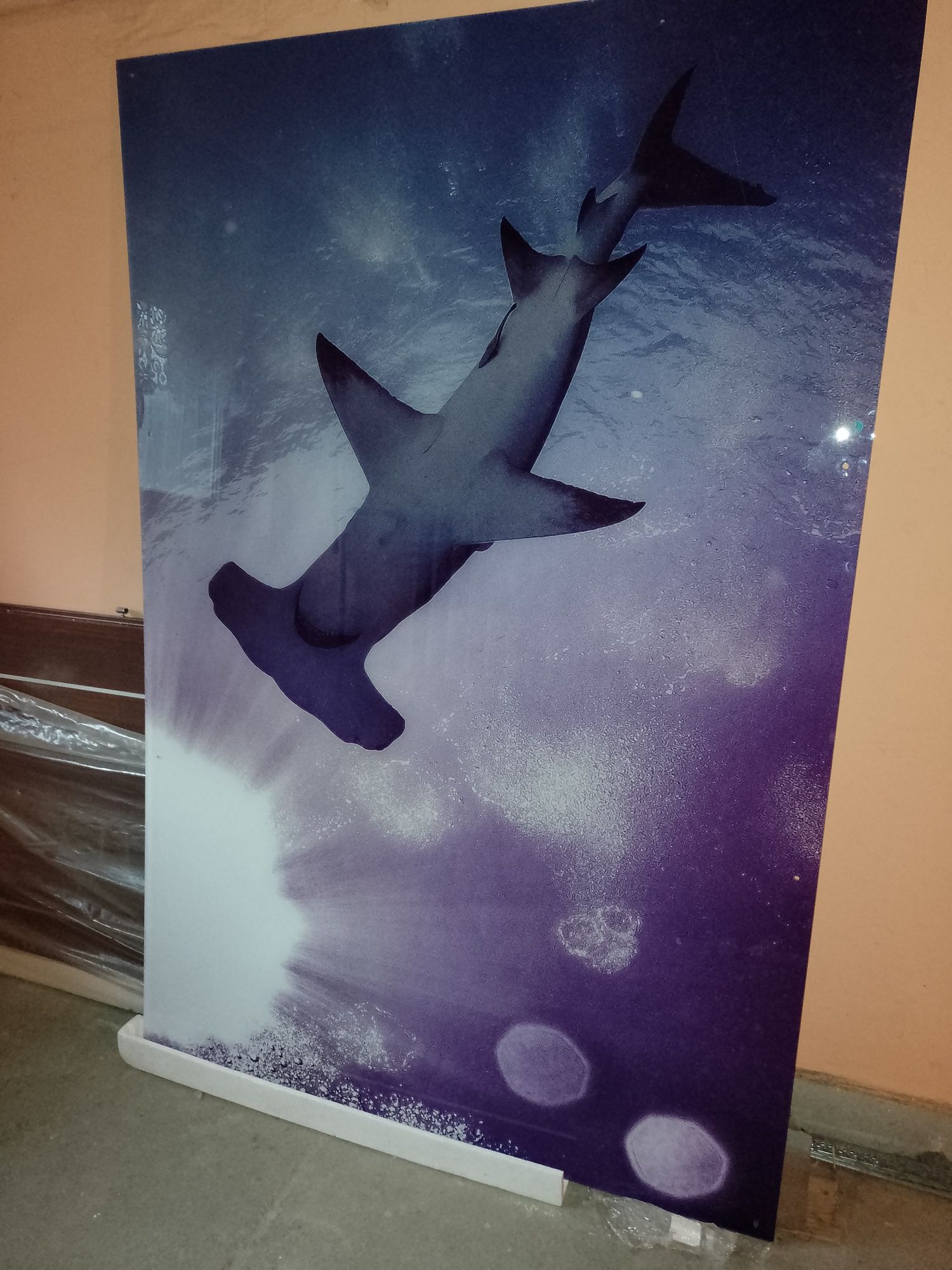 Obraz plexi 125x185 rekin