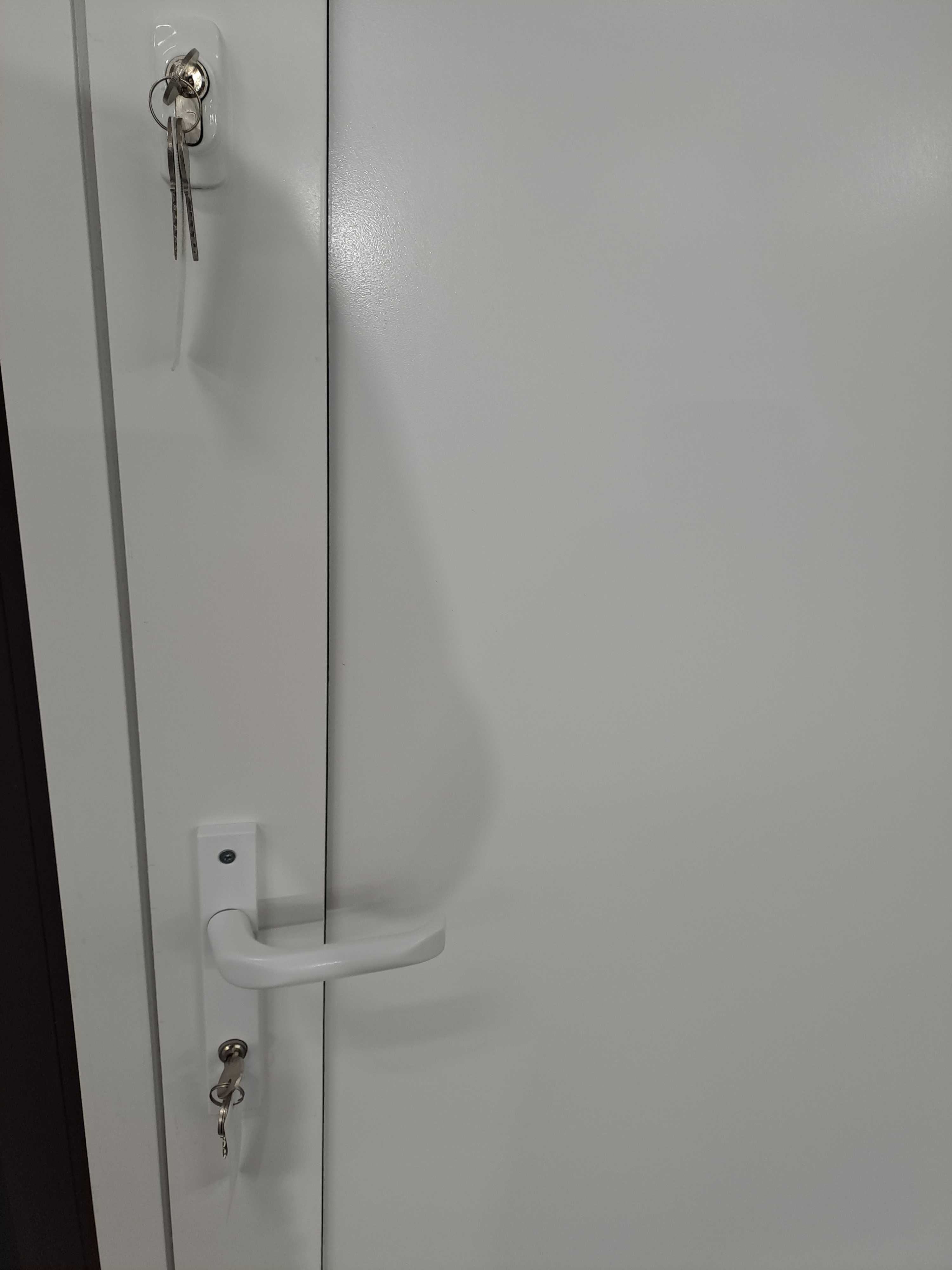 Drzwi panelowe aluminiowe szer 1100 mm x wys 2100 mm