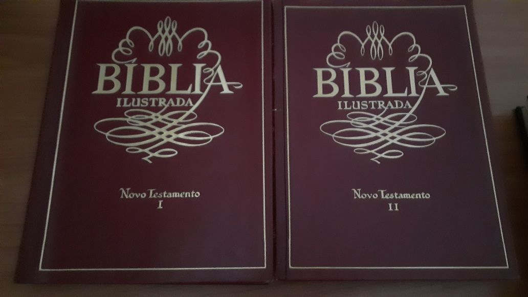 Biblia ilustrada antigo e novo testamento Editorial Universus