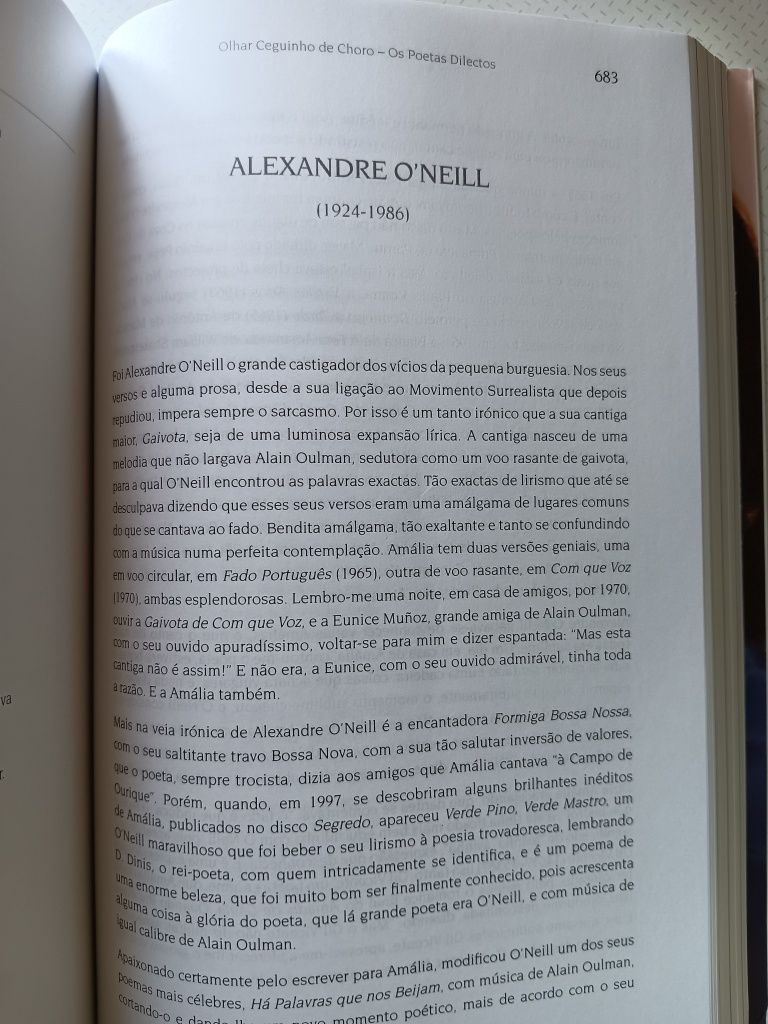 Vítor Pavão dos Santos, Amália e os Poetas