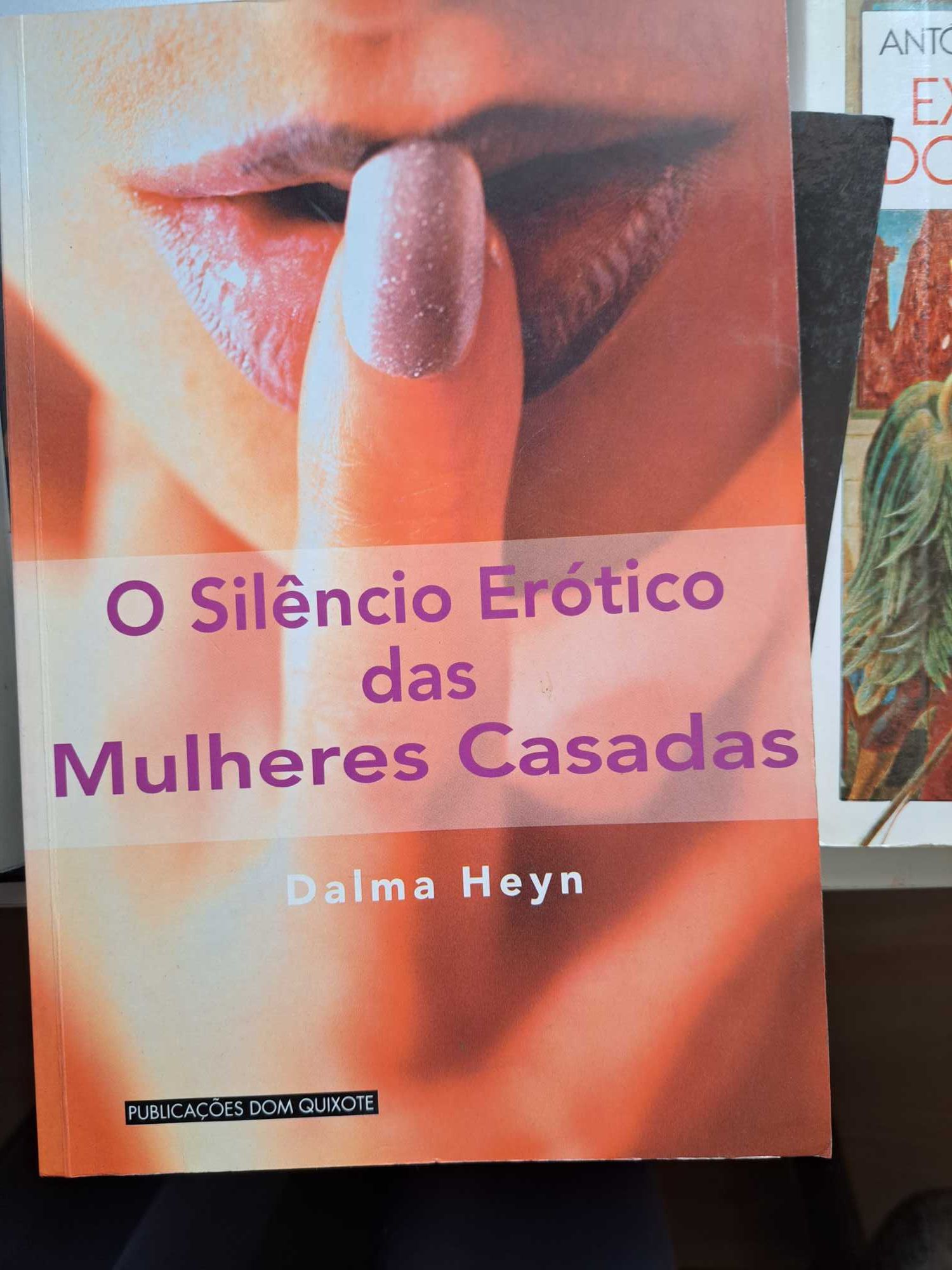 O Silêncio Erótico das Mulheres Casadas (Dalma Heyn)
