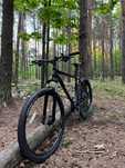 Rower Cannondale Trail 5 (2021)