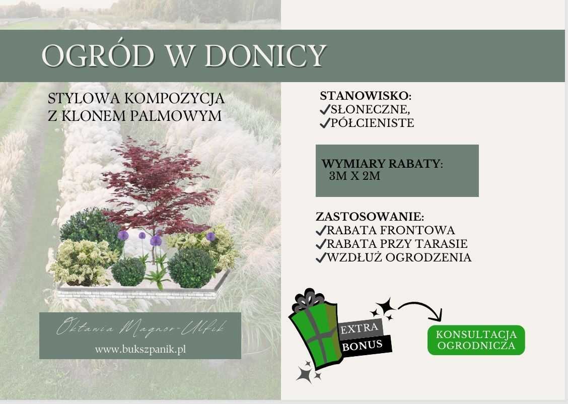 Gotowy projekt rabaty - rabata z Klonem palmowym