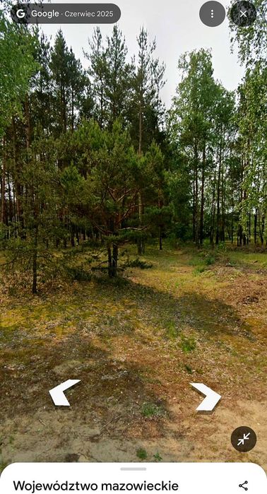 Piękna działka na sprzedaż z widokiem na młody las !