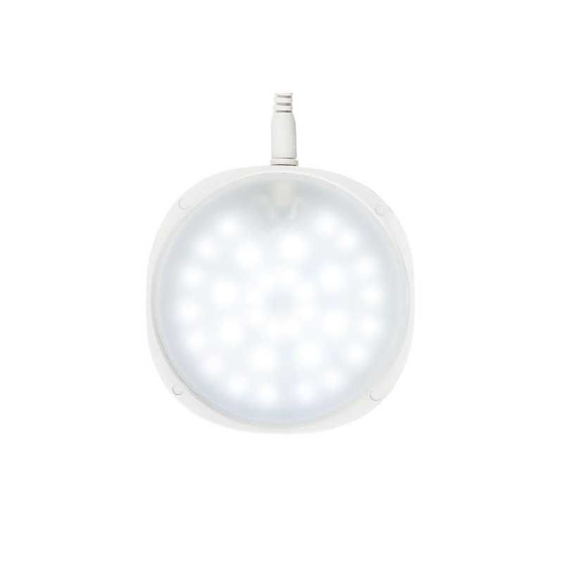 Kit de terrario da Chihiros com luz magnética e base