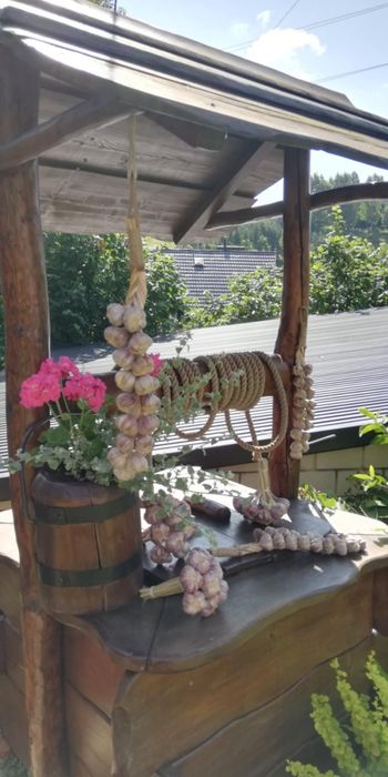 Czosnek zimowy Harnaś na wagę 5kg