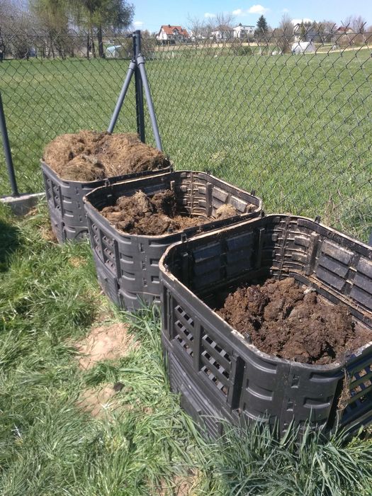 Kompost z kompostowników oddam