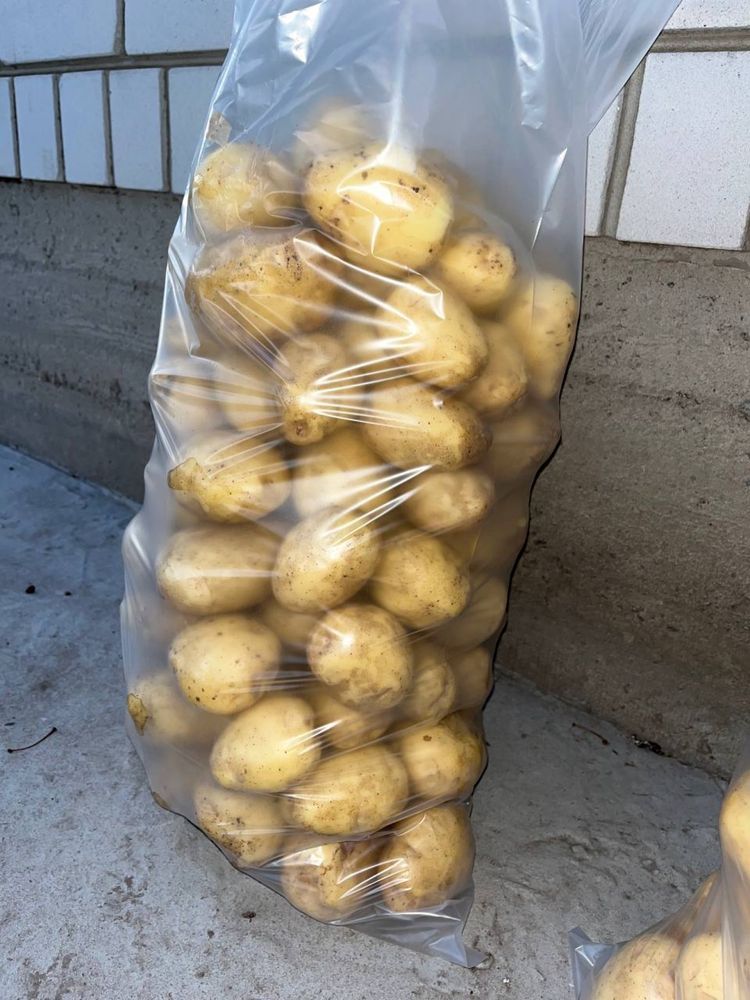 Продам картошку і буряк