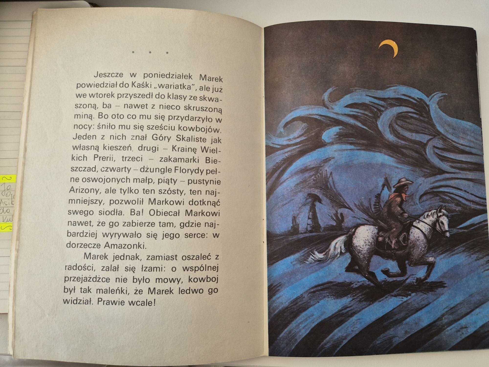 Agnieszka Osiecka, Szczególnie Małe sny