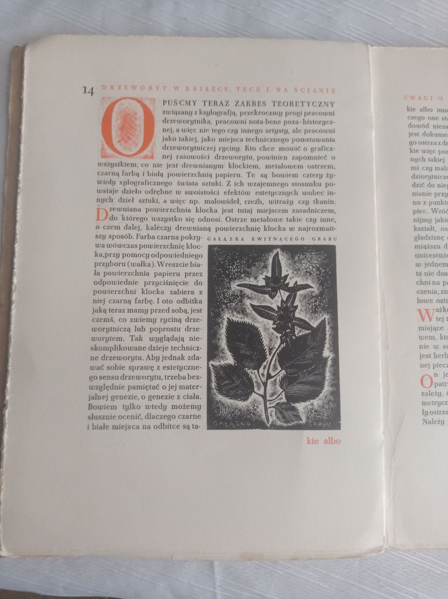 Tadeusz Cieślewski syn Drzeworyt w książce, tece i na ścianie,1936r.