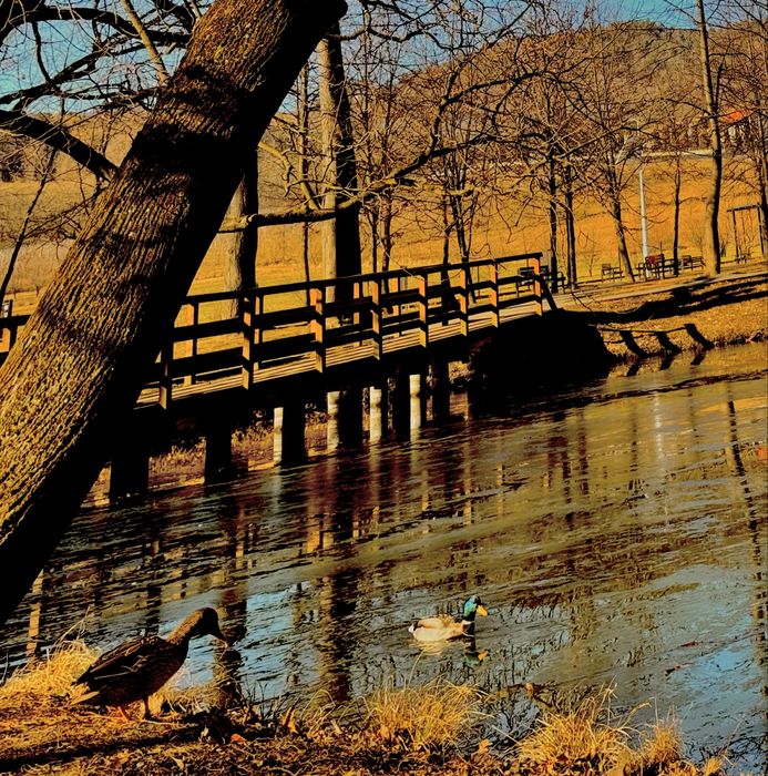 Wieczór Panieński impreza góry jacuzzi sauna balia grill boisko SPA