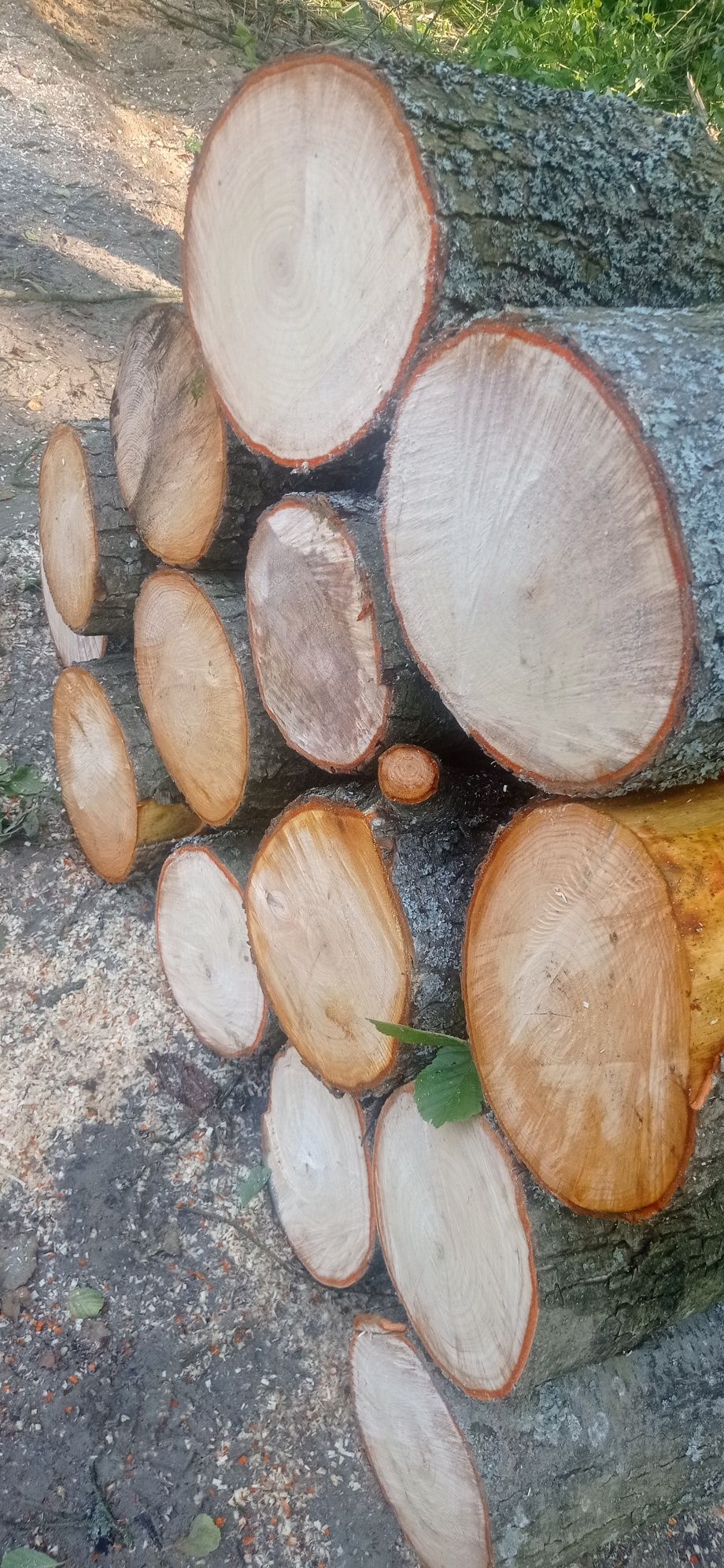 Drewno opałowe Olcha wałki