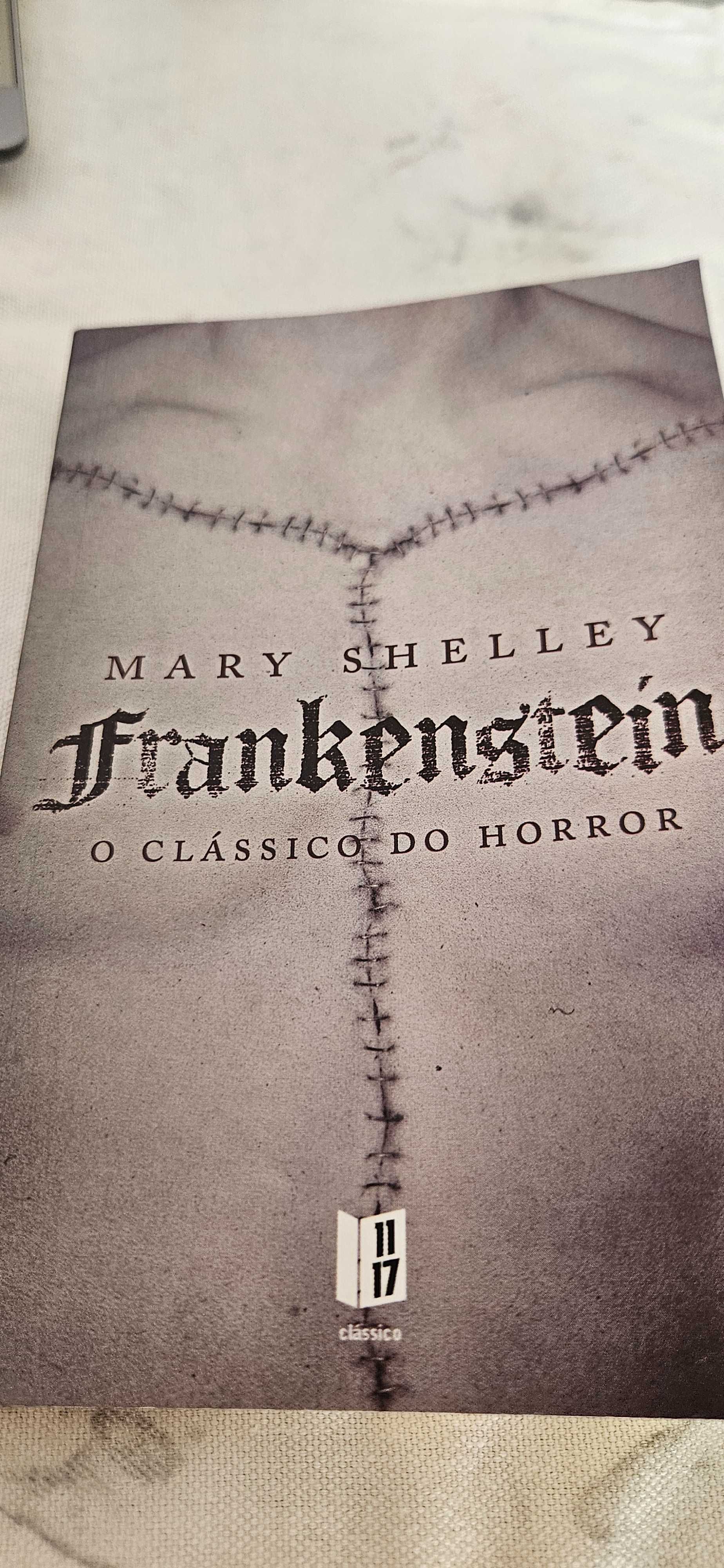 Frankenstein - Livro de Bolso