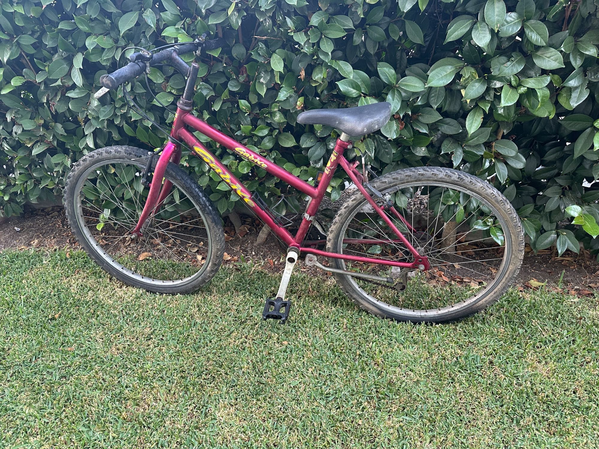Conjunto de Bicicletas