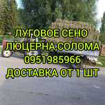 СЕНО С ПРИВОЗОМ от 1шт в тюках мешках, сіно (просяное др виды)