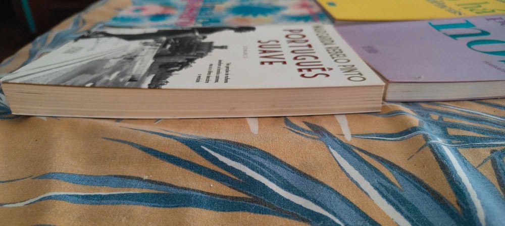Livros margarida Rebelo pinto