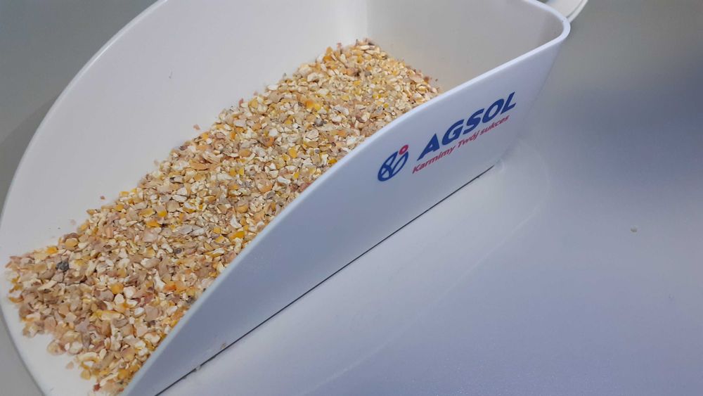 Kukurydza ziarno kiszone gniecione Corn Energy - cena brutto z dostawa