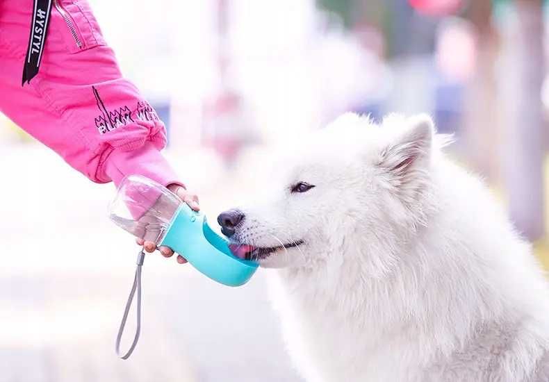 Przenośne poidło dla zwierząt butelka turystyczna na wodę bidon psa