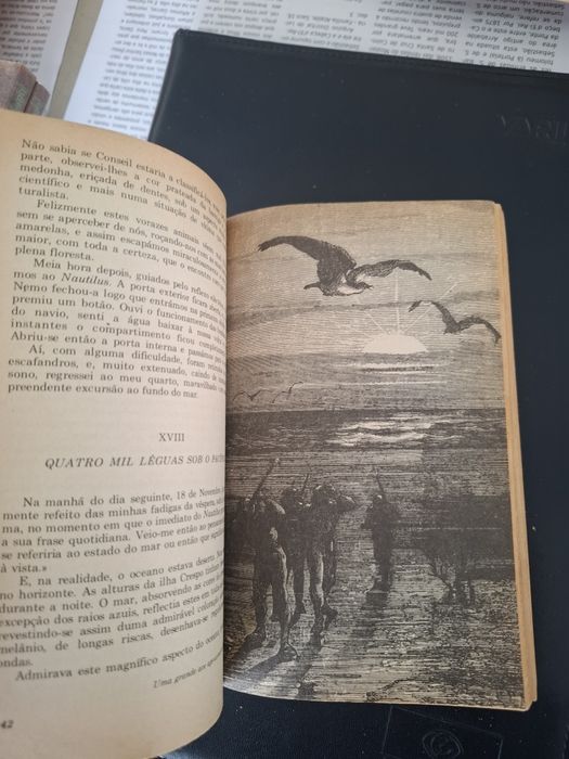 Livro 10 Mil Léguas Submarinas