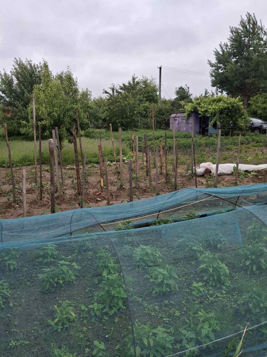 Дачный участок с/о" Сокол"