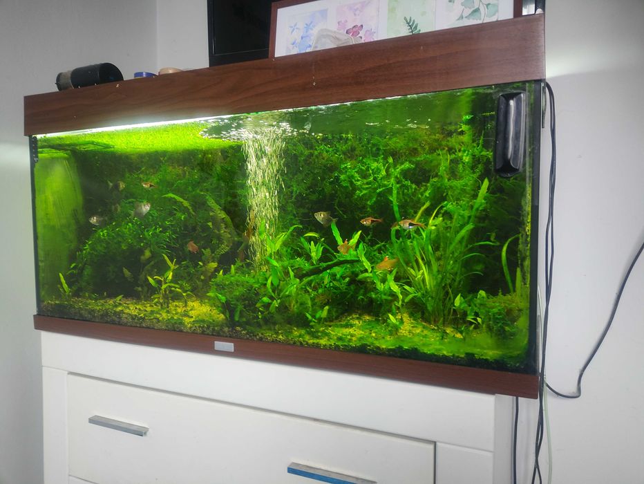 Akwarium Juvel 200l