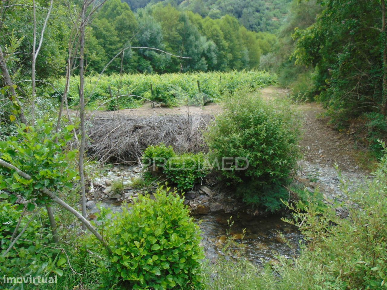 Quinta c/ vinha em produção em Santa Marta de Penaguião
