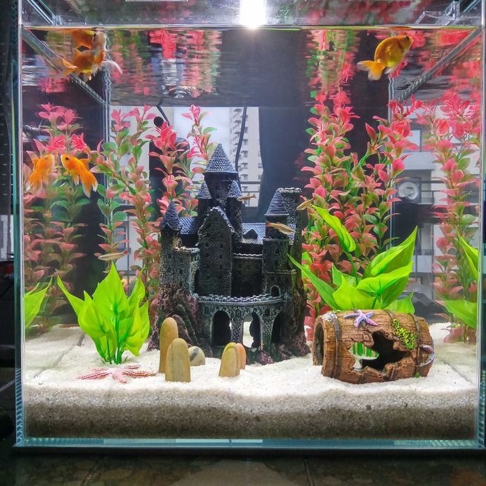 Aquário blau cubic 42l