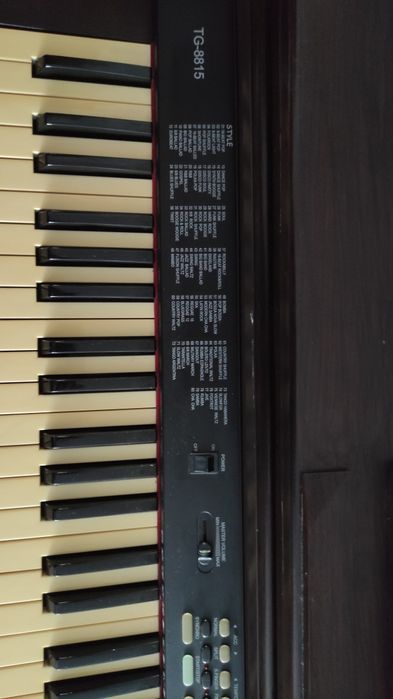 Фортепіано електронне, TG-8815
