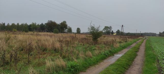 Działka rolna Sławęcin (powiat włocławski)