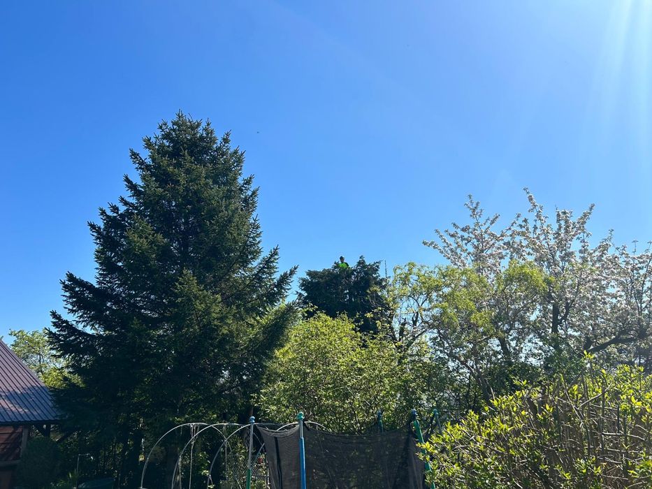 Alpinistyczna wycinka drzew, oczyszczanie działek, koszenie