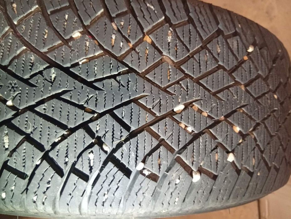 Шини нокіан хакапиліта r14 175/65 з дисками