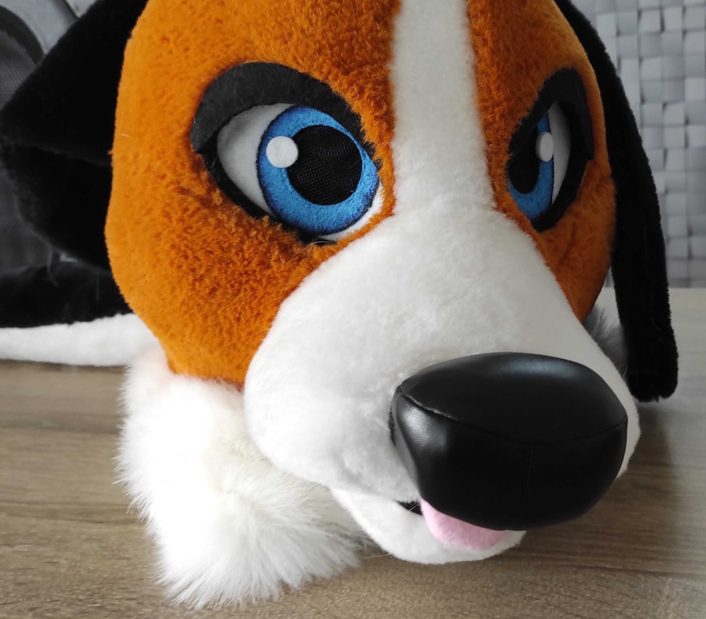 Beagle fursuit JAK NOWY
