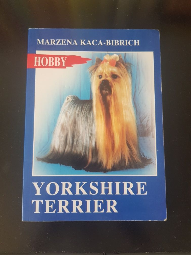 Marzena Kaca-Bibrich Yorkshire Terrier