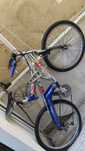 Bicicleta Team bike