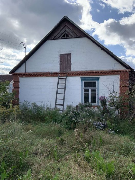 Продаж цегляного будинку Олевськ