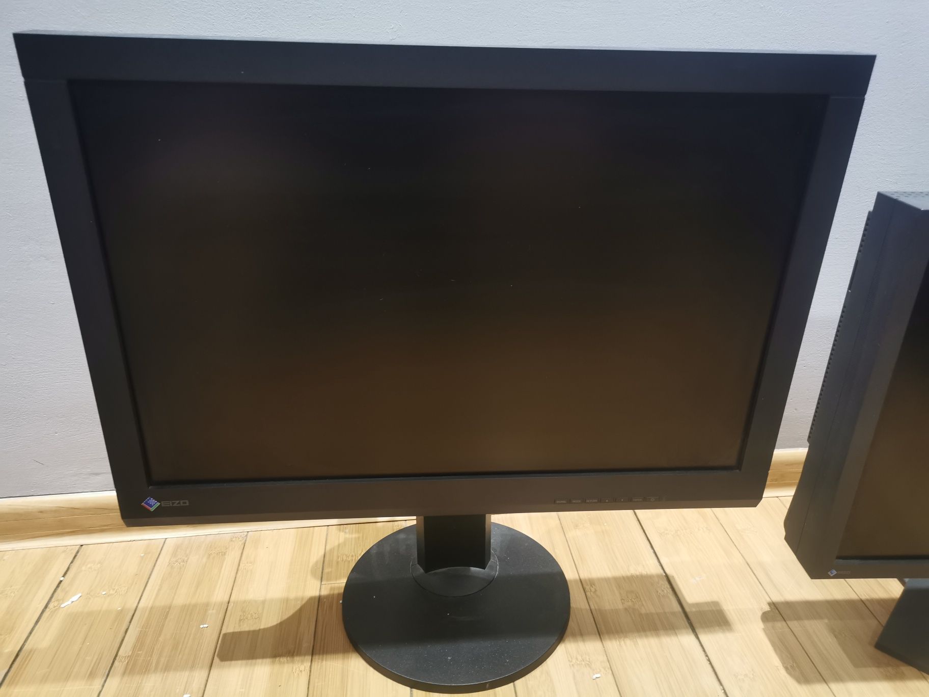 Monitor Eizo CS240 + gratis