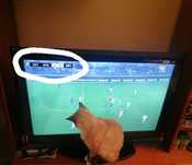 Lcd Samsung 80 cm. Ótimo negócio!