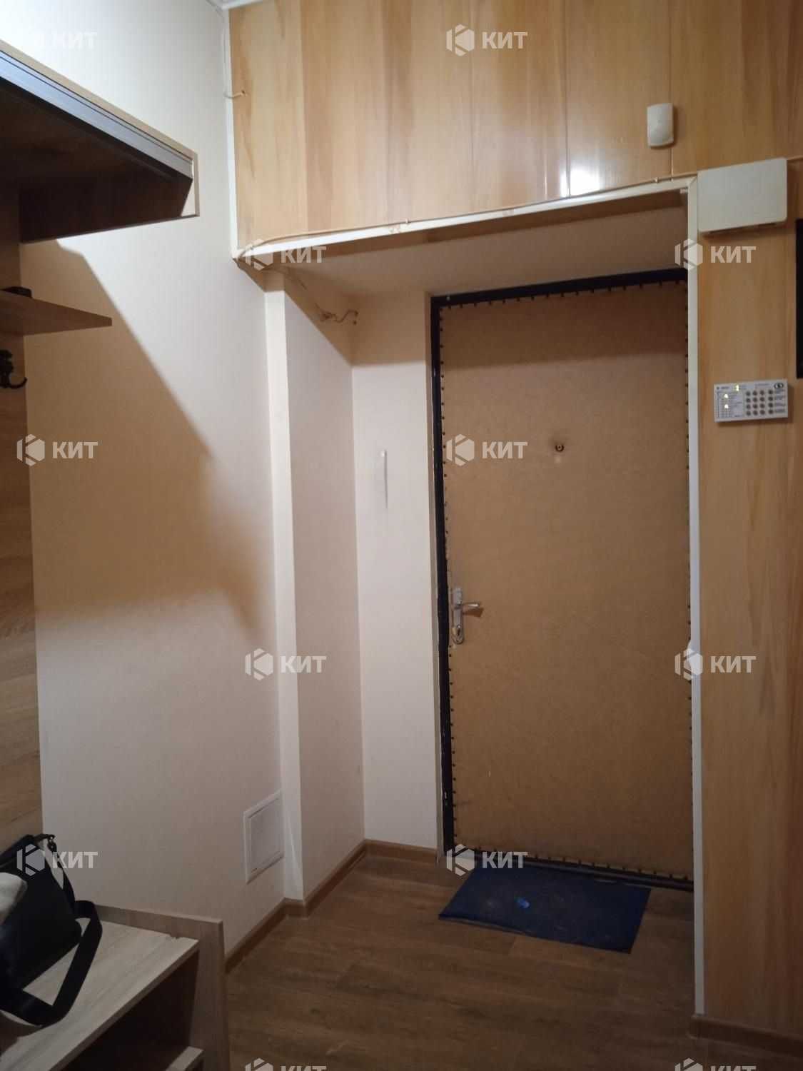 3к.74м2, Центр (ул. Чернышевская 90, м. Университет) 125753
