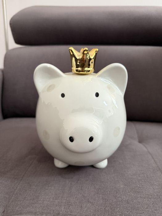 Świnka skarbonka mój pierwszy milion