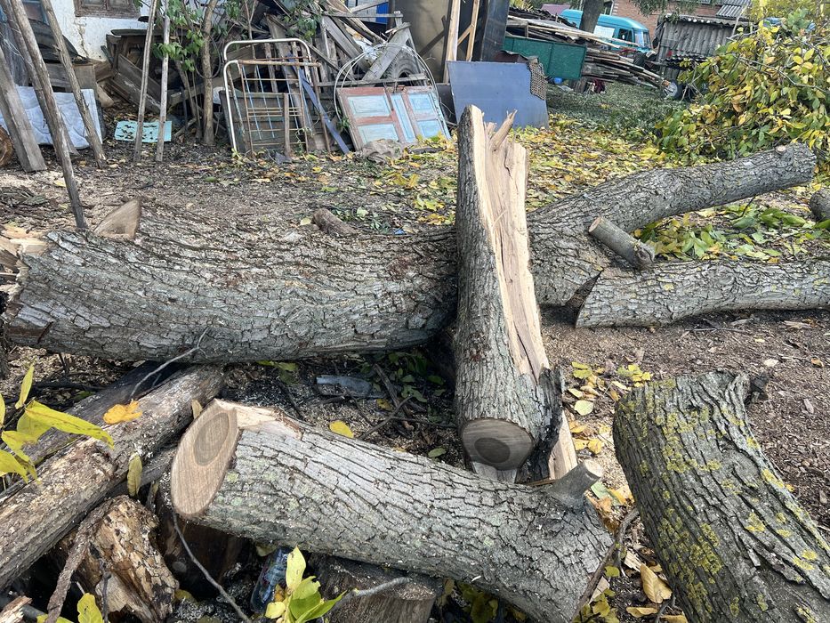 Серовина горіх є доставка кругляк